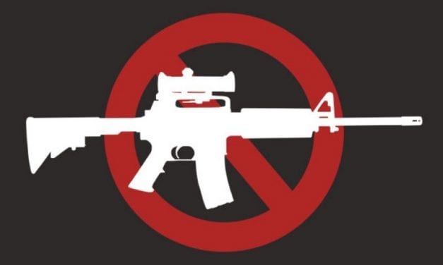 Is Gun Control necessary?
